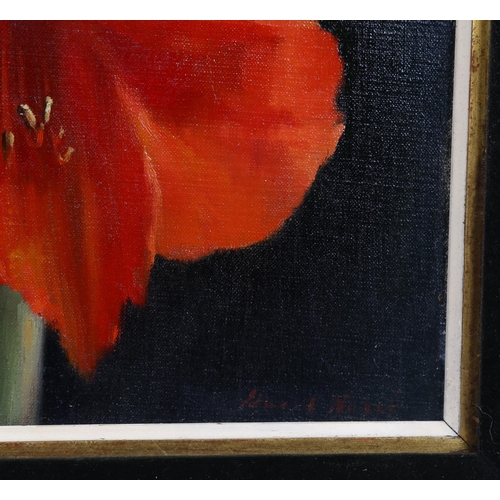 583 - Mid-20th century oil on canvas, still life Amaryllis, indistinctly signed, 27cm x 41cm, framed