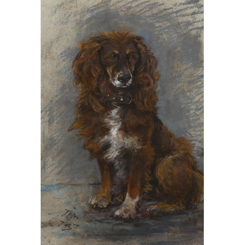 608 - John Guille Millais, portrait of a Spaniel, coloured pastels, signed with monogram, 50cm x 34cm, fra... 