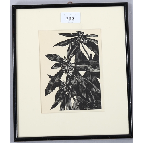 793 - John Nash (1893-1977) wood engraving on paper, The Spurge Laurel, 15.5vm x 11cm, for Poisonous Plant... 