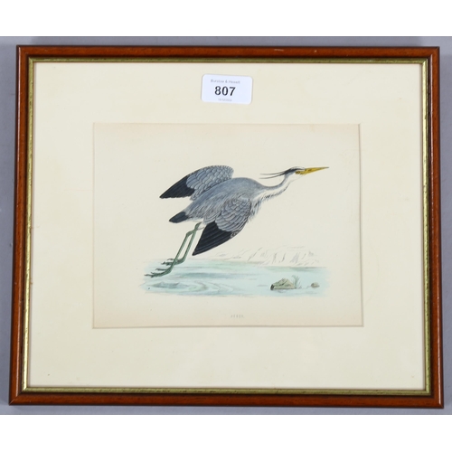 807 - Francis Orpen Morris (1810-1893), hand-coloured engraving on paper, Heron, from Morris’s British Bir... 