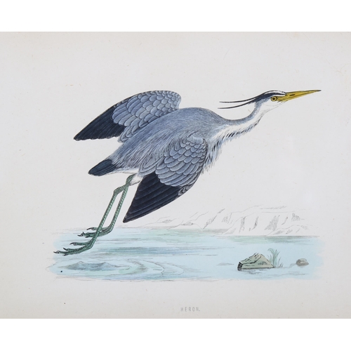 807 - Francis Orpen Morris (1810-1893), hand-coloured engraving on paper, Heron, from Morris’s British Bir... 