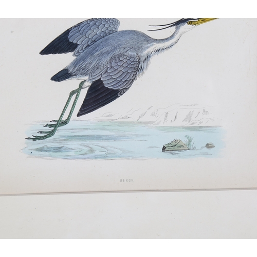 807 - Francis Orpen Morris (1810-1893), hand-coloured engraving on paper, Heron, from Morris’s British Bir... 