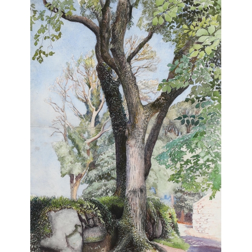 118 - Eleanor Hughes RI (1882 - 1959), trees beside a wall, watercolour, 47cm x 36cm, framed