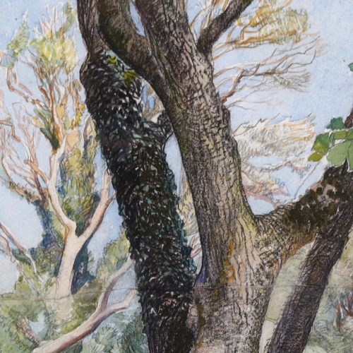 118 - Eleanor Hughes RI (1882 - 1959), trees beside a wall, watercolour, 47cm x 36cm, framed