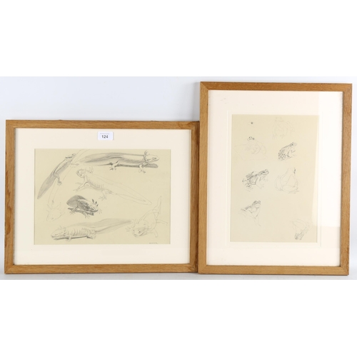 124 - Raymond Sheppard, 2 sheets of pencil sketches, newts and frogs, 24cm x 34cm, Exhibition labels verso... 