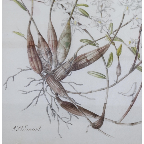 140 - Kathleen Smart, 2 botanical studies, wild orchids, watercolours, signed, 29cm x 21cm, framed (2)