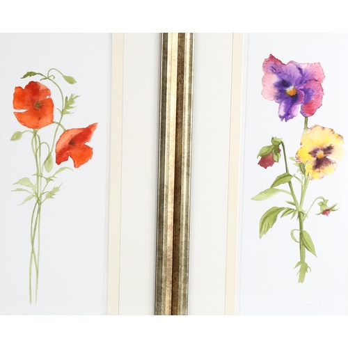 141 - Jane Edmonds, 3 botanical flower studies, watercolour on paper, signed, 37cm x 14cm, framed (3)