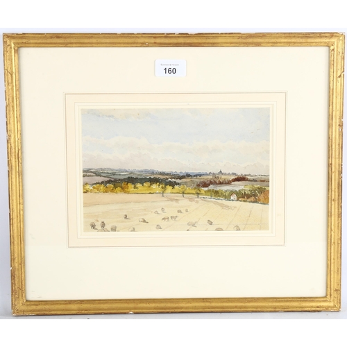 160 - Henry Stock (1825 - 1909), view of Stebbing Essex, pencil and watercolour, 16cm x 24cm, framed