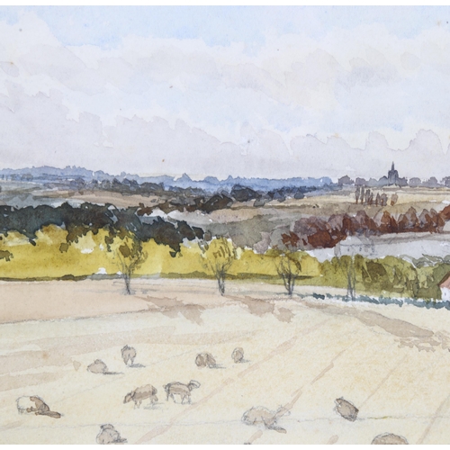 160 - Henry Stock (1825 - 1909), view of Stebbing Essex, pencil and watercolour, 16cm x 24cm, framed