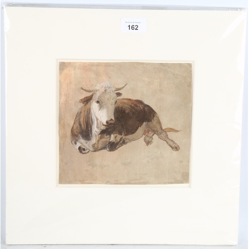 162 - 19th century Italian School, cow, gouache on paper, unsigned, 18cm x 20cm, mounted