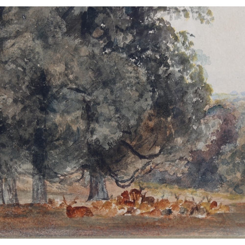 163 - Peter DeWint (1784 - 1849), deer in parkland, watercolour, 27cm x 41cm, framed