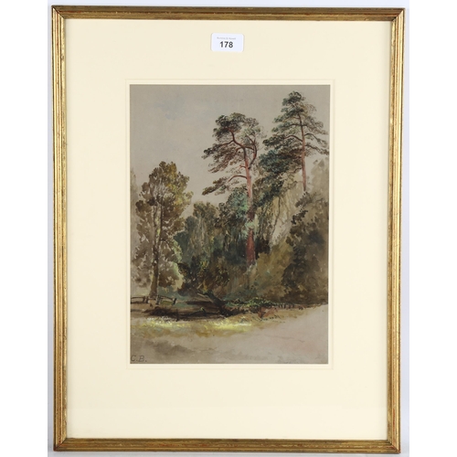 178 - Charles Branwhite, tree study, watercolour, signed with monogram, 33cm x 24cm, framed