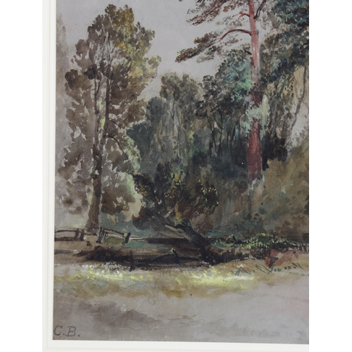 178 - Charles Branwhite, tree study, watercolour, signed with monogram, 33cm x 24cm, framed