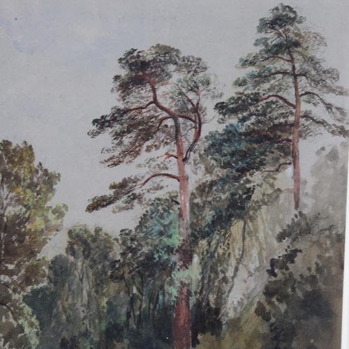 178 - Charles Branwhite, tree study, watercolour, signed with monogram, 33cm x 24cm, framed