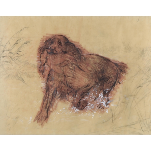 185 - Spencer Roberts (1920 - 1997), 2 wildlife studies, pencil/chalk, largest 40cm x 67cm, framed (2)