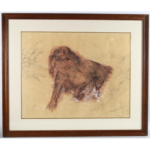 185 - Spencer Roberts (1920 - 1997), 2 wildlife studies, pencil/chalk, largest 40cm x 67cm, framed (2)