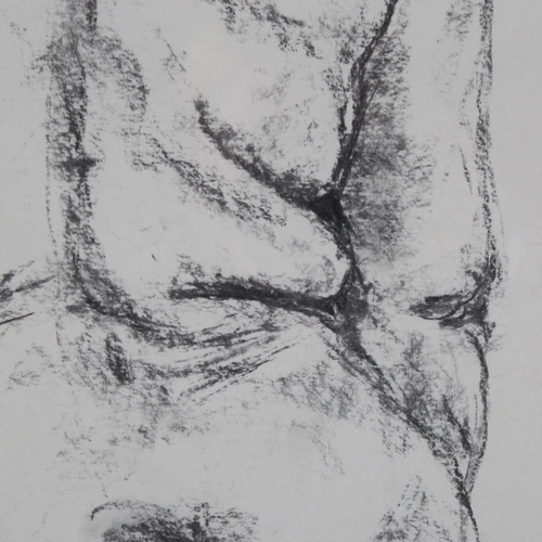 195 - Contemporary nude life study, charcoal on paper, indistinctly signed, 57cm x 38cm, framed