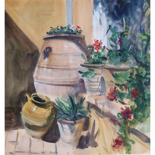 206 - Anthony Bream (born 1943), patio pots Corfu, 1995, watercolour, 38cm x 36cm, framed