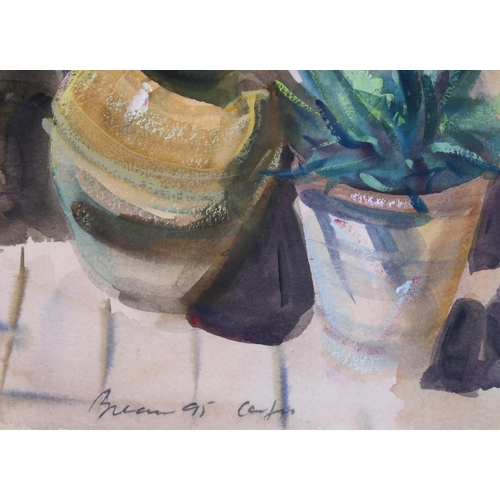 206 - Anthony Bream (born 1943), patio pots Corfu, 1995, watercolour, 38cm x 36cm, framed