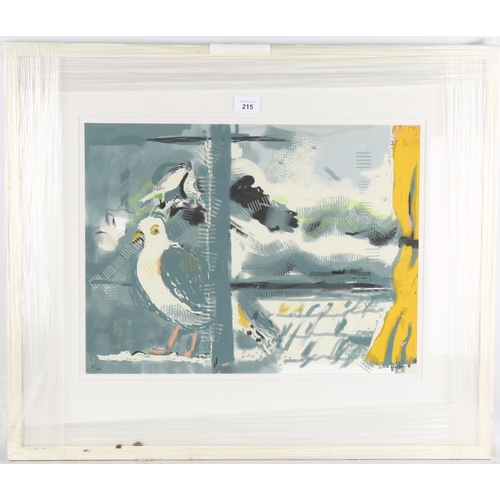 215 - Diane Hoskins, gulls, colour screenprint, signed in pen, no. 2/20, 37cm x 50cm, framed