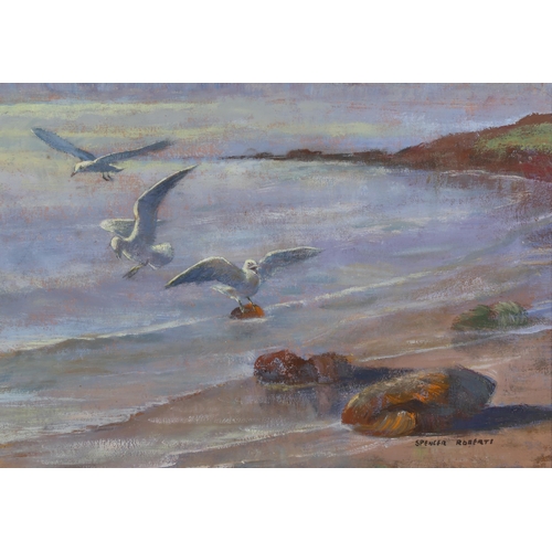 219 - Spencer Roberts (1920 - 1997), gulls at the shore, oil on board, signed, 22cm x 30cm, framed