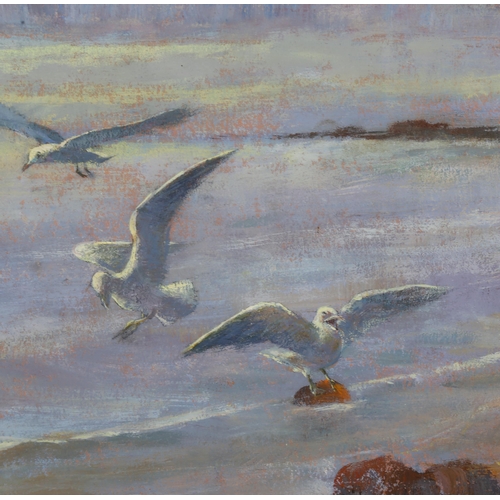 219 - Spencer Roberts (1920 - 1997), gulls at the shore, oil on board, signed, 22cm x 30cm, framed