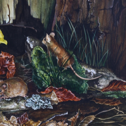 221 - Lesley Fotherby (born 1946), mouse in woodland, watercolour, signed, 36cm x 41cm, framed