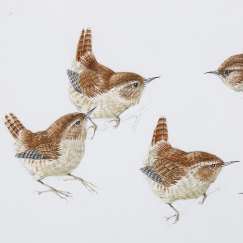 222 - Mildred Eldridge ARWS (1909 - 1991), wrens, original watercolour illustration, signed and dated 1972... 