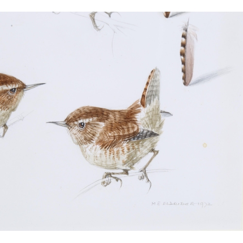 222 - Mildred Eldridge ARWS (1909 - 1991), wrens, original watercolour illustration, signed and dated 1972... 