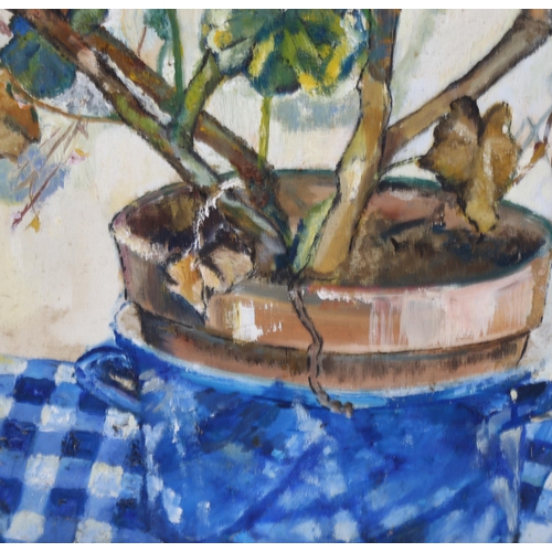 223 - Nicky Clark, still life pot plant, oil on board, 54cm x 42cm, framed