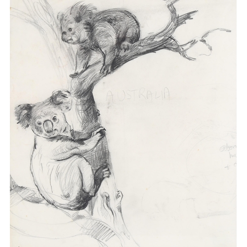 237 - Spencer Roberts (1920 - 1997), Koala bears, pencil sketch, 37cm x 34cm, framed