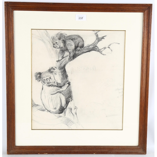 237 - Spencer Roberts (1920 - 1997), Koala bears, pencil sketch, 37cm x 34cm, framed