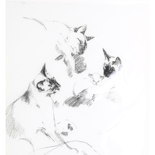 242 - Lesley Fotherby (born 1946), 2 sheets of cat studies, charcoal on paper, signed, 56cm x 38cm, mounte... 