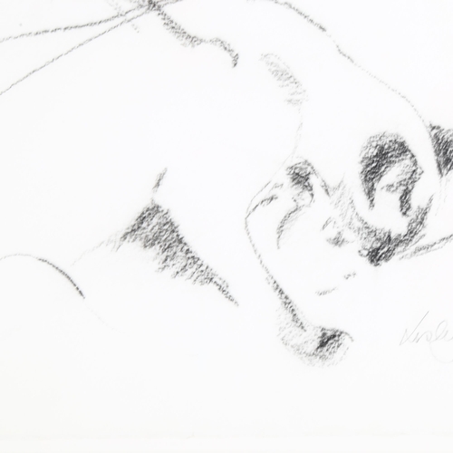 242 - Lesley Fotherby (born 1946), 2 sheets of cat studies, charcoal on paper, signed, 56cm x 38cm, mounte... 