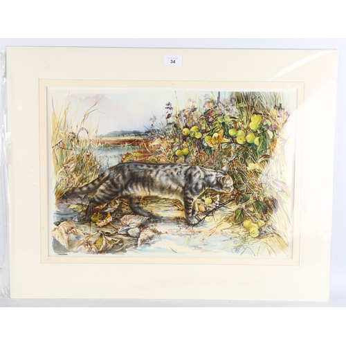 34 - Lesley Fotherby (born 1946), prowling cat, watercolour, 36cm x 53cm, mounted