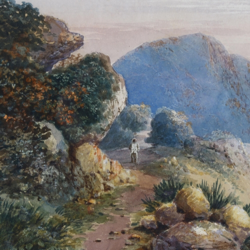 59 - Charles Woolnoth (1815 - 1906), figure on a coastal path, watercolour, signed, 23cm x 33cm, framed