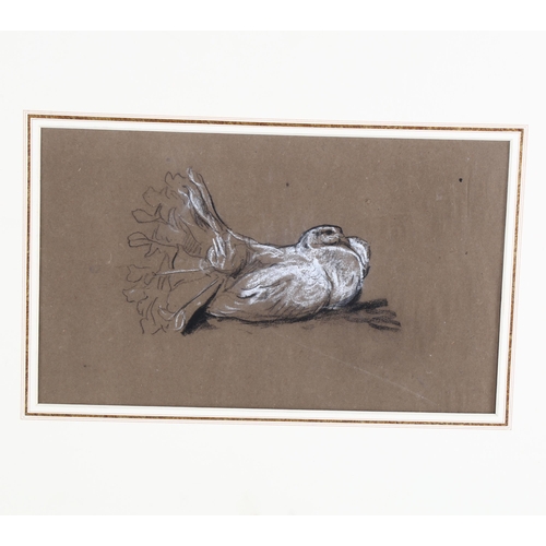 76 - Arthur Wardle (1864 - 1949), cockerel, 29cm x 20cm, and dove, 15cm x 25cm, charcoal/pastel/chalk on ... 