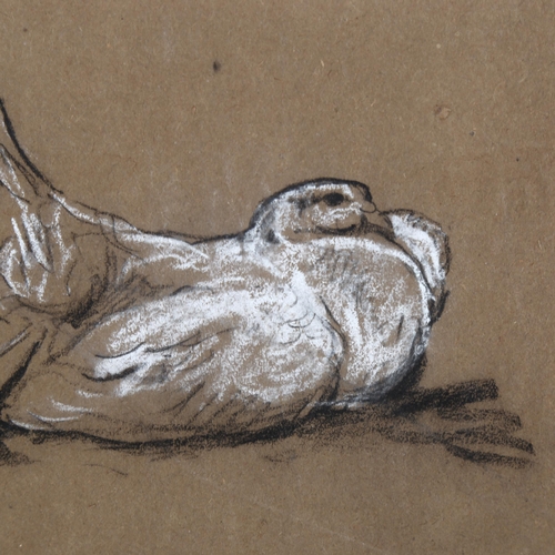 76 - Arthur Wardle (1864 - 1949), cockerel, 29cm x 20cm, and dove, 15cm x 25cm, charcoal/pastel/chalk on ... 