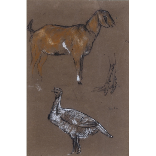 77 - Arthur Wardle (1864 - 1949), farm animal studies, pastel/chalk on brown paper, 29cm x 20cm, framed