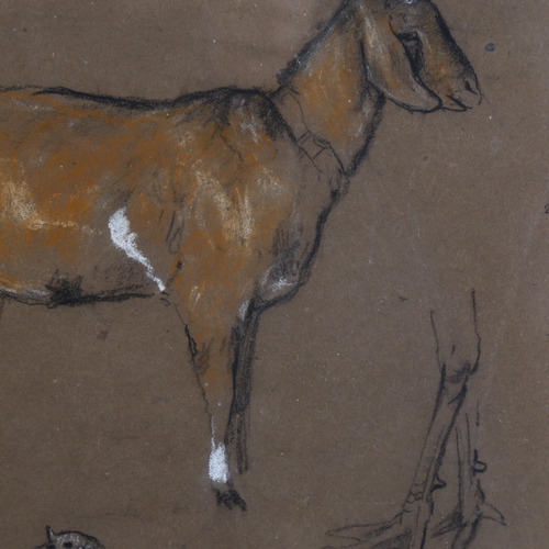 77 - Arthur Wardle (1864 - 1949), farm animal studies, pastel/chalk on brown paper, 29cm x 20cm, framed