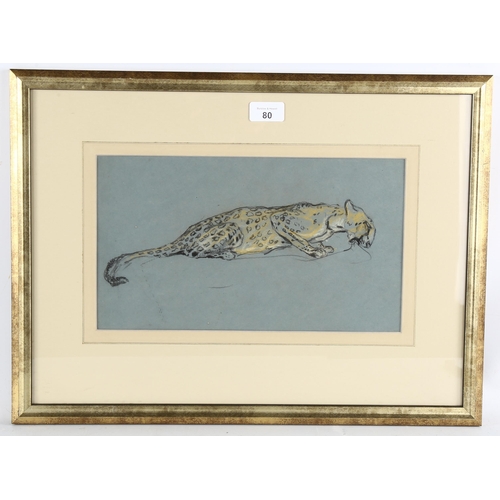 80 - Arthur Wardle (1864 - 1949), leopard, charcoal/chalk on blue paper, 19cm x 34cm, framed