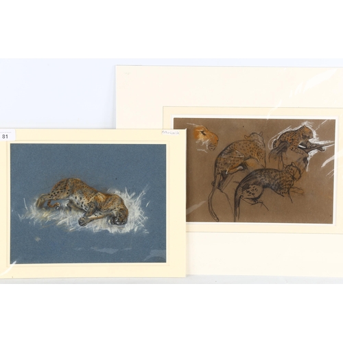 81 - Arthur Wardle (1864 - 1949), leopard, charcoal on blue paper, 21cm x 28cm, and cheetah studies, char... 