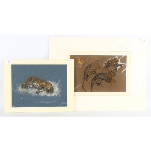 81 - Arthur Wardle (1864 - 1949), leopard, charcoal on blue paper, 21cm x 28cm, and cheetah studies, char... 