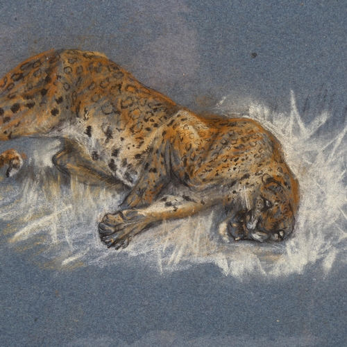 81 - Arthur Wardle (1864 - 1949), leopard, charcoal on blue paper, 21cm x 28cm, and cheetah studies, char... 