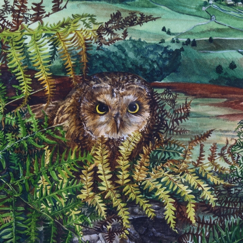 88 - Lesley Fotherby (born 1936), owl in landscape, watercolour, 37cm x 52cm, framed