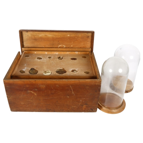 169 - 2 small glass domes, overall height 27cm, and a pine collector's chest with 7 fitted drawers, overal... 