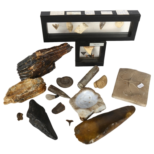 290 - A collection of fossils and various artefacts, including elephant's teeth, ammonites, late Neolithic... 