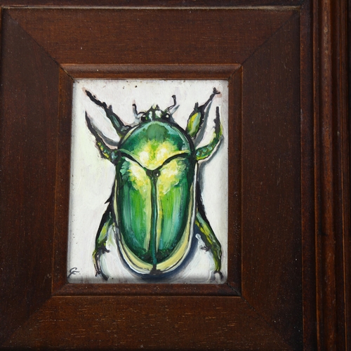 483 - A set of 4 framed paintings of beetles, H19cm overall