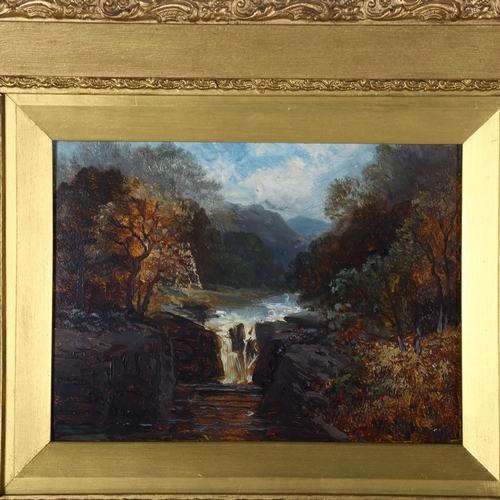 2861 - Walter Meegan (1859 - 1944), oil on board, waterfall, signed, 29cm x 21cm, framed