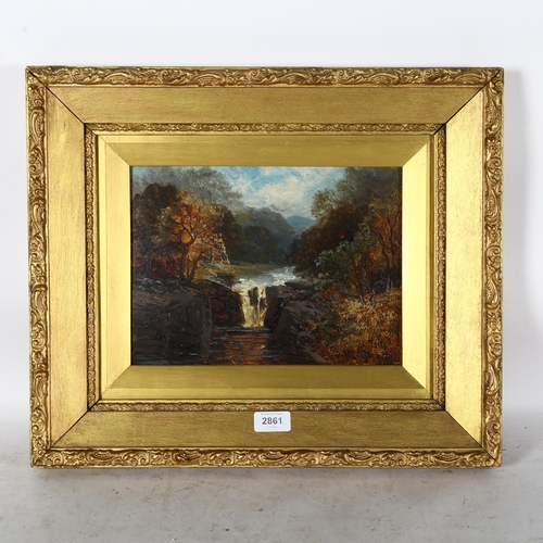 2861 - Walter Meegan (1859 - 1944), oil on board, waterfall, signed, 29cm x 21cm, framed